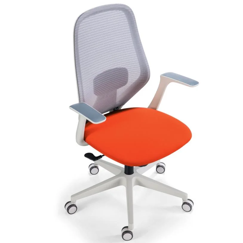 White Frame Middle Back Work Station Chair Modern Design New Clear Plastic Adjustable Chair Ergonomic Mesh Chair